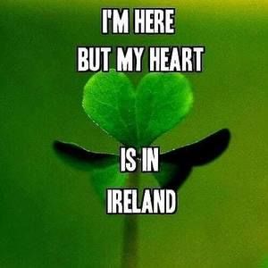 Meet your Posher, Janis